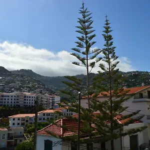 In Câmara de Lobos